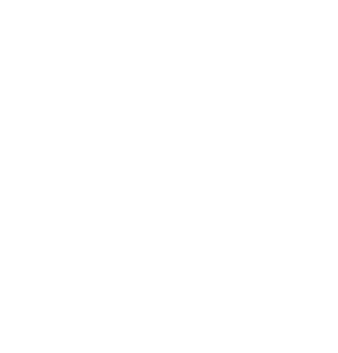 Buriti