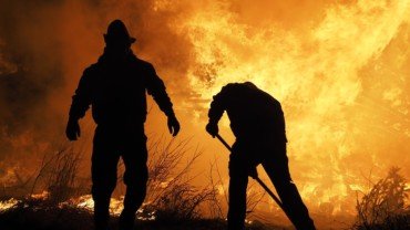 Buriti alerta para questão das queimadas em período de seca